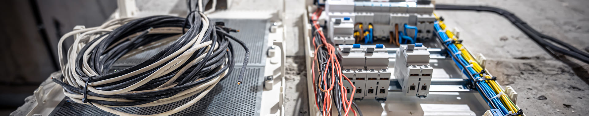 Dedicación profesional